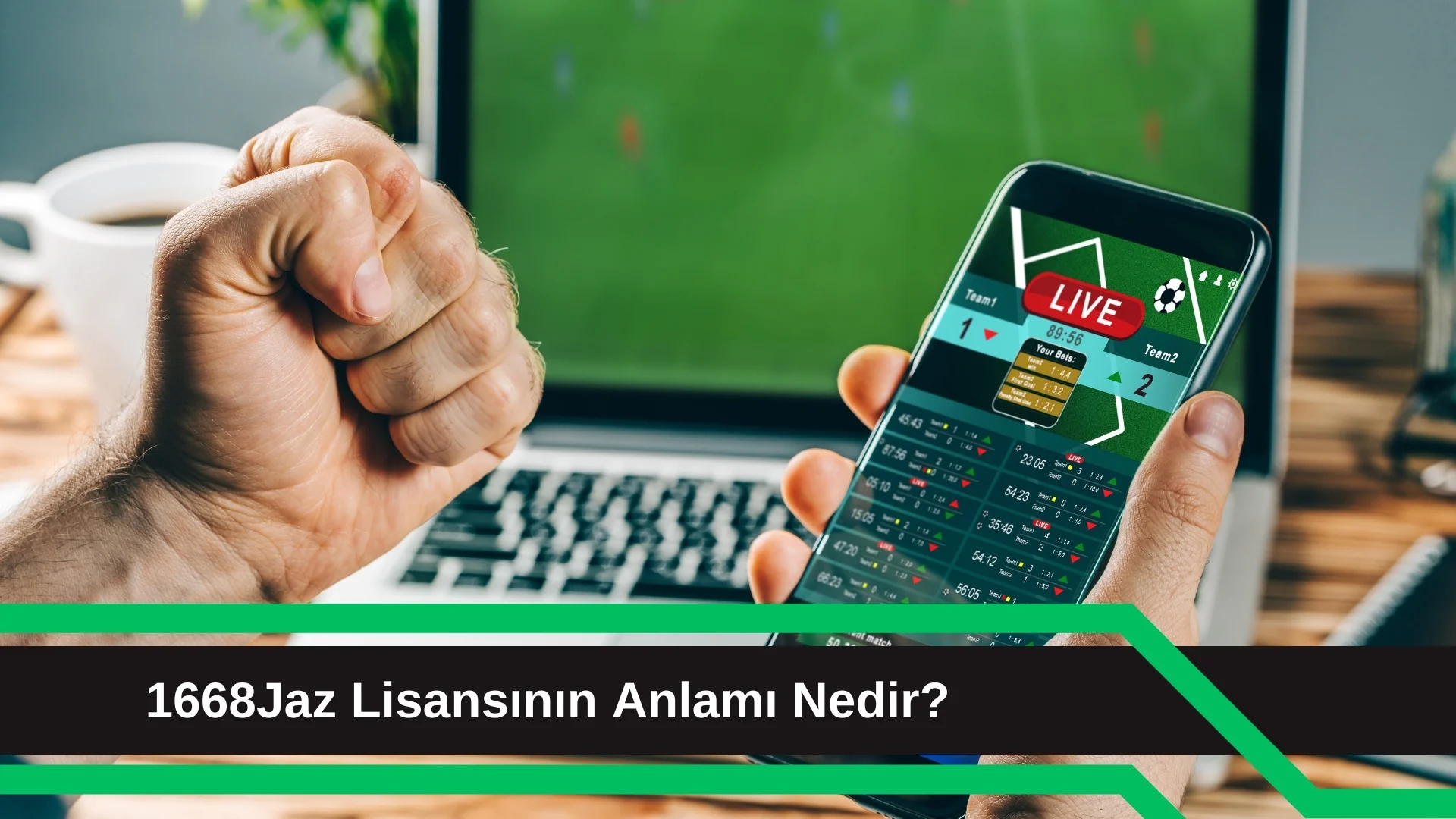 1668/Jaz Lisansının Anlamı Nedir